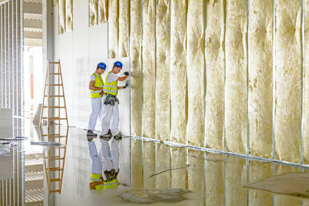 Best Spray Foam Insulation in San Felipe, TX